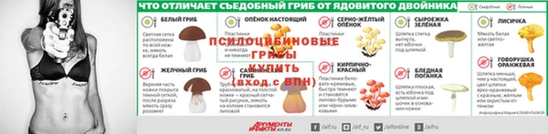 крисы Абдулино