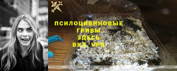 крисы Абдулино
