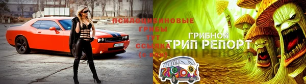 прущий лед Переславль-Залесский